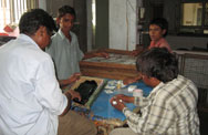 Activity